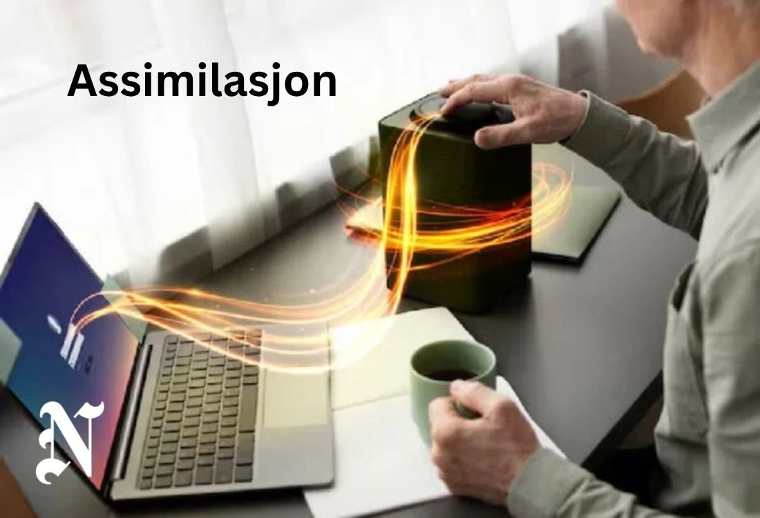 assimilasjon